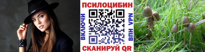 Купить закладки  Арск  Псилоцибиновые грибы ЛСД 